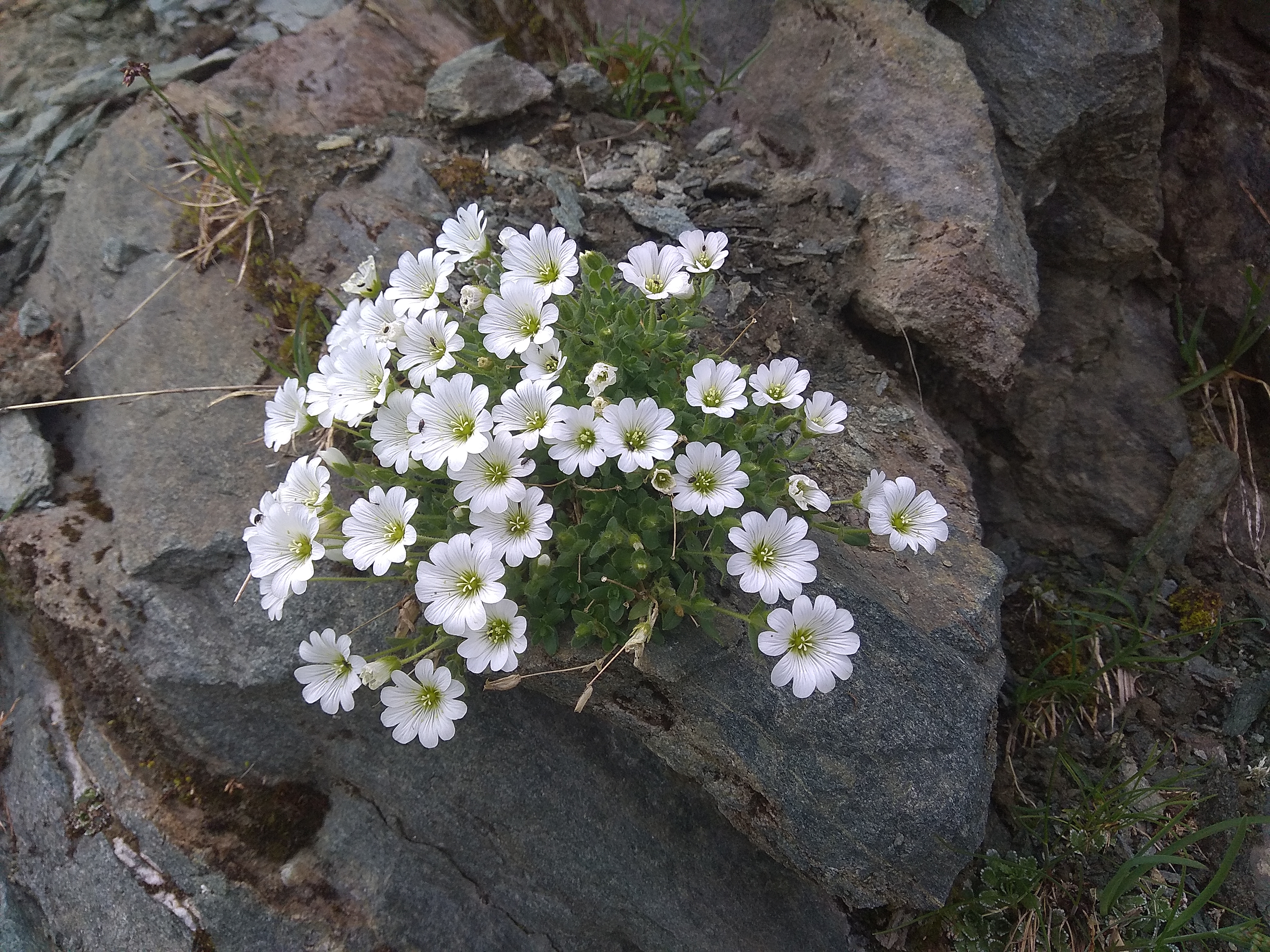 exkurzia CykloAustria 2022