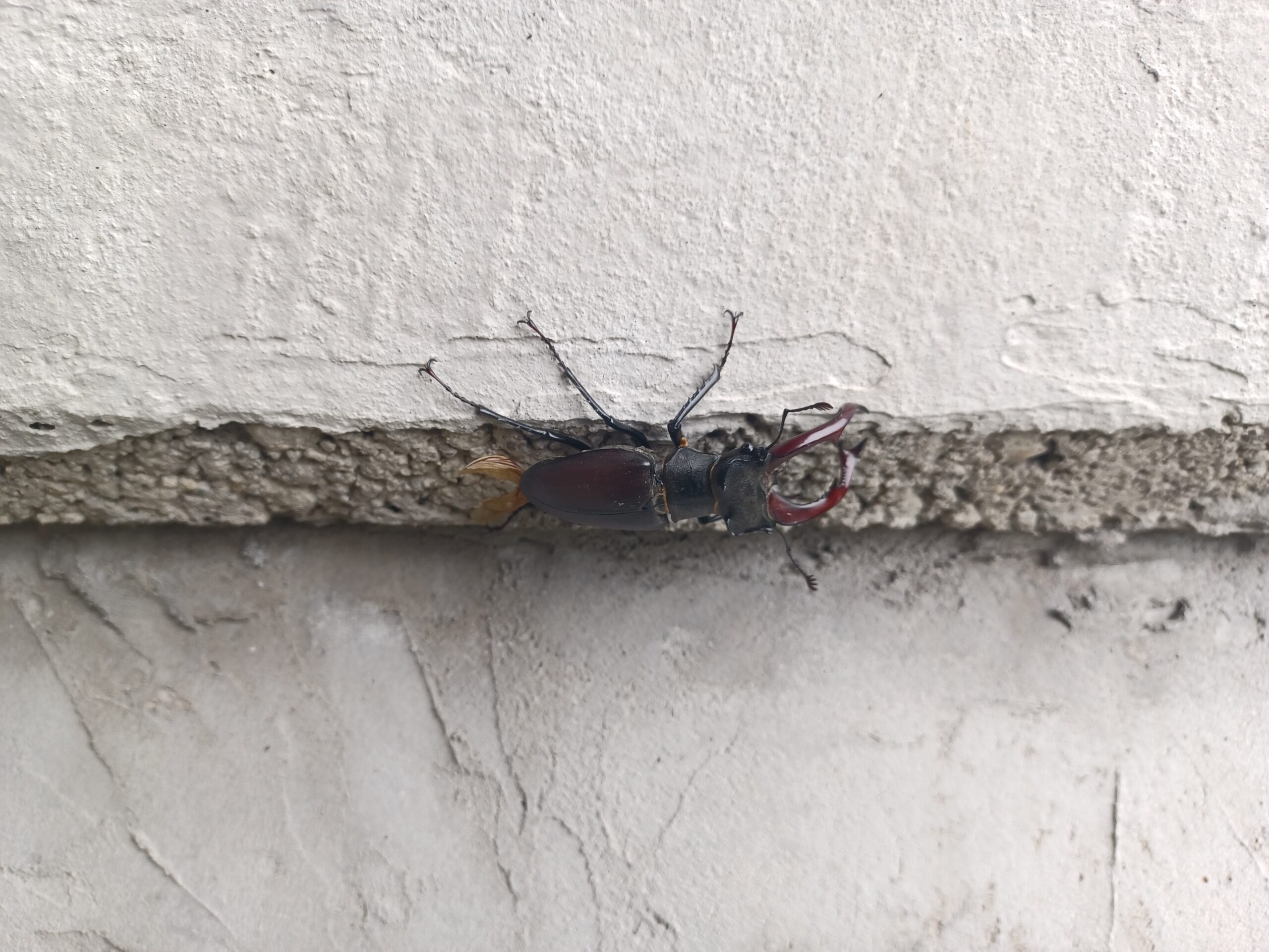 exkurzia CykloMaďarsko - severovýchod 2024