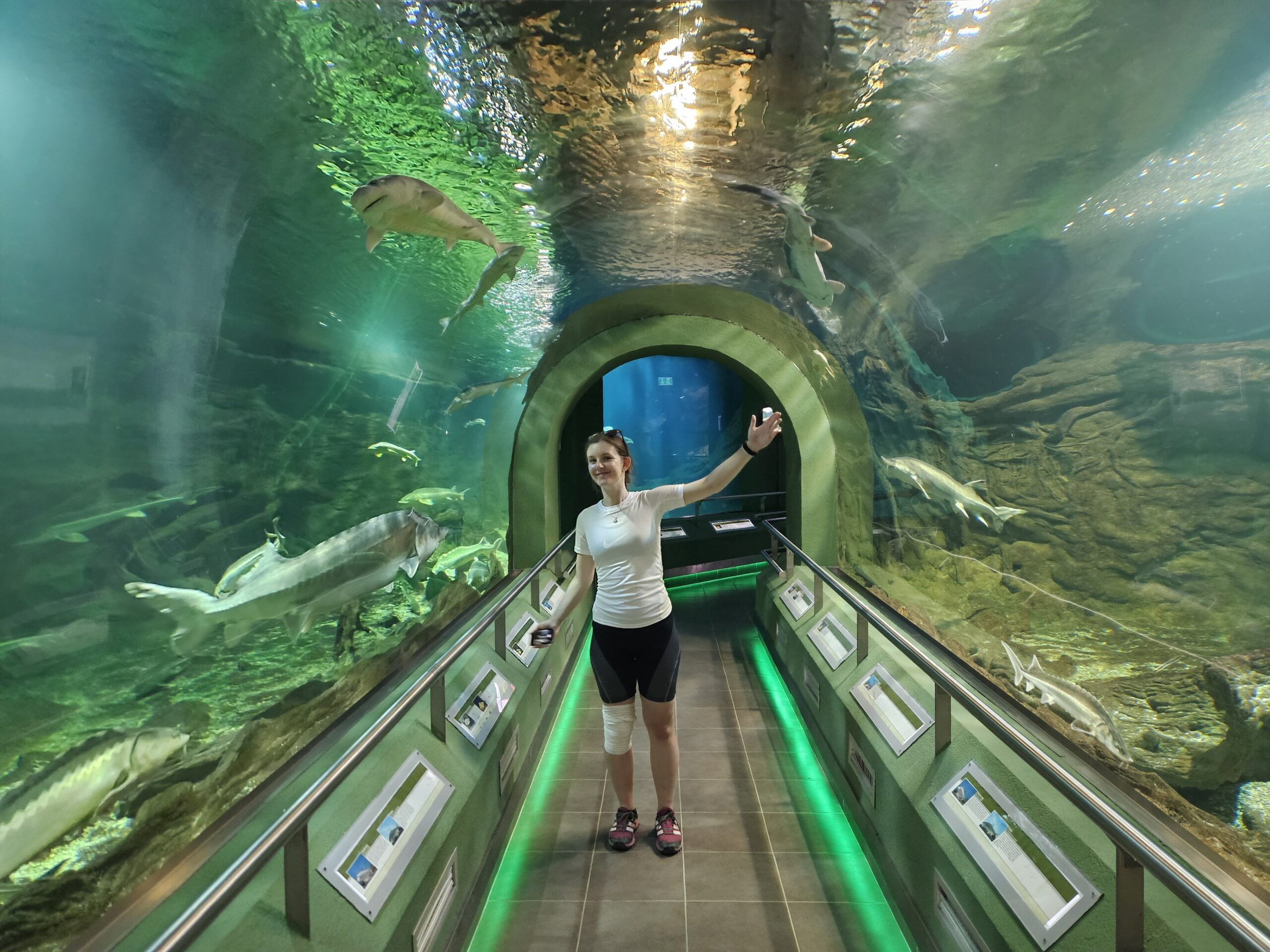 exkurzia CykloMaďarsko - severovýchod 2024