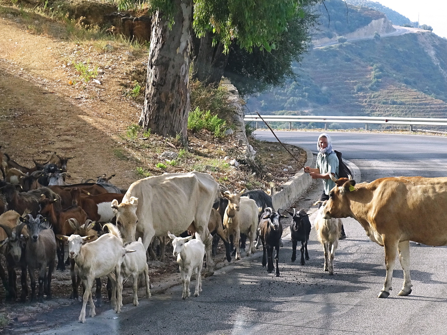 exkurzia Albánsko 2021