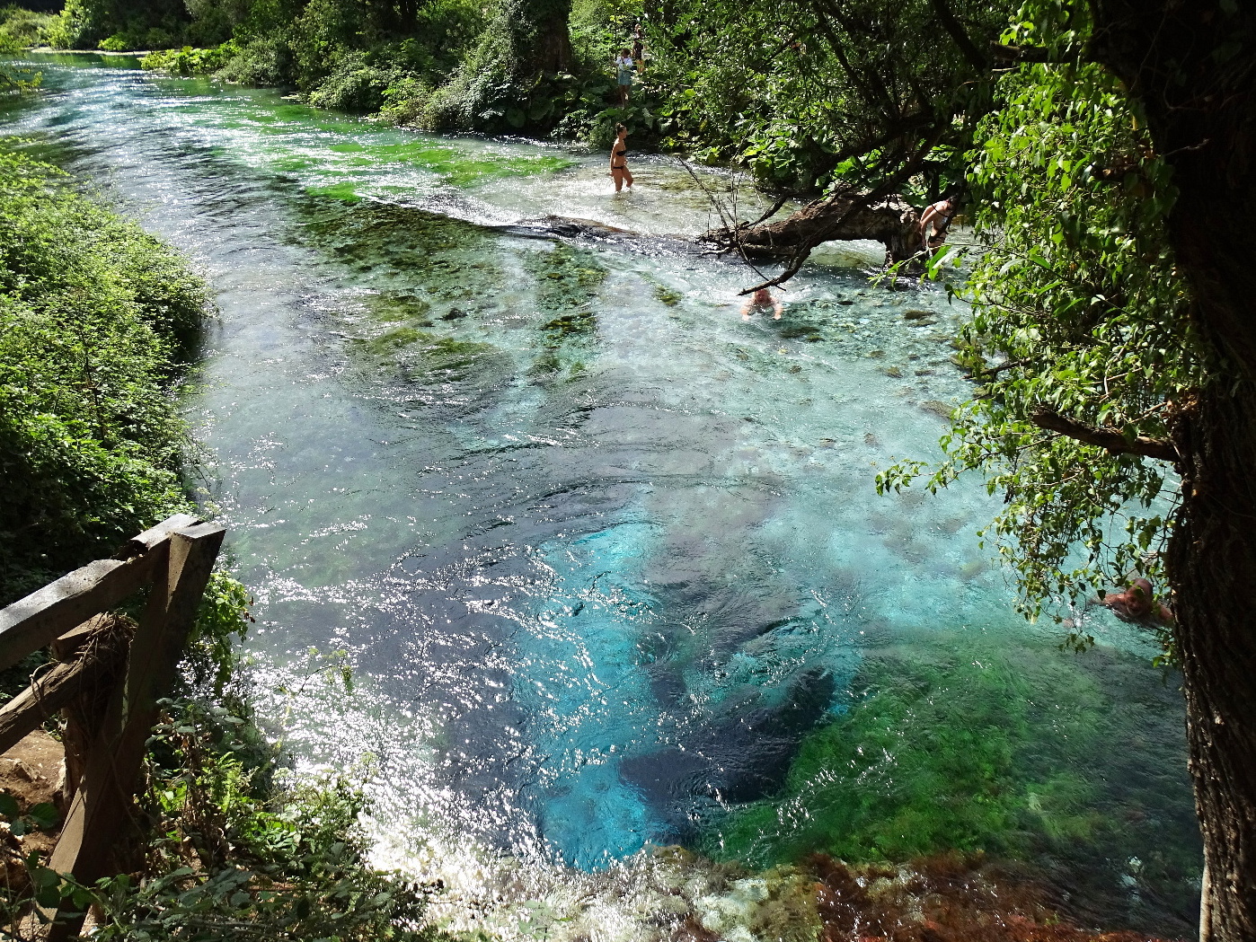 exkurzia Albánsko 2021