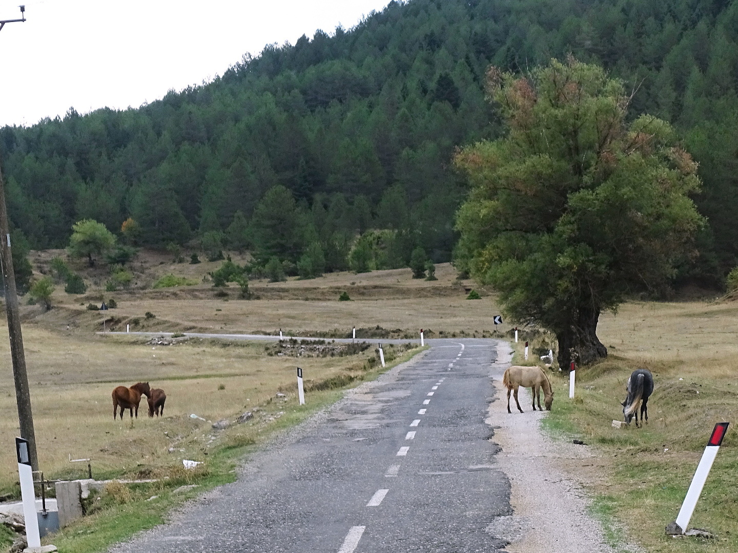 exkurzia Albánsko 2021