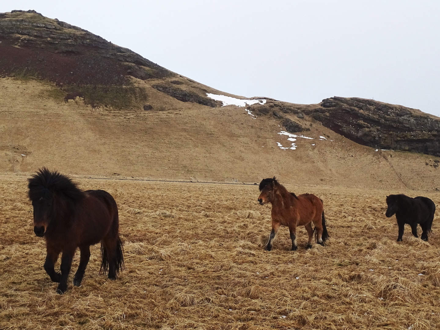 exkurzia Island 2022