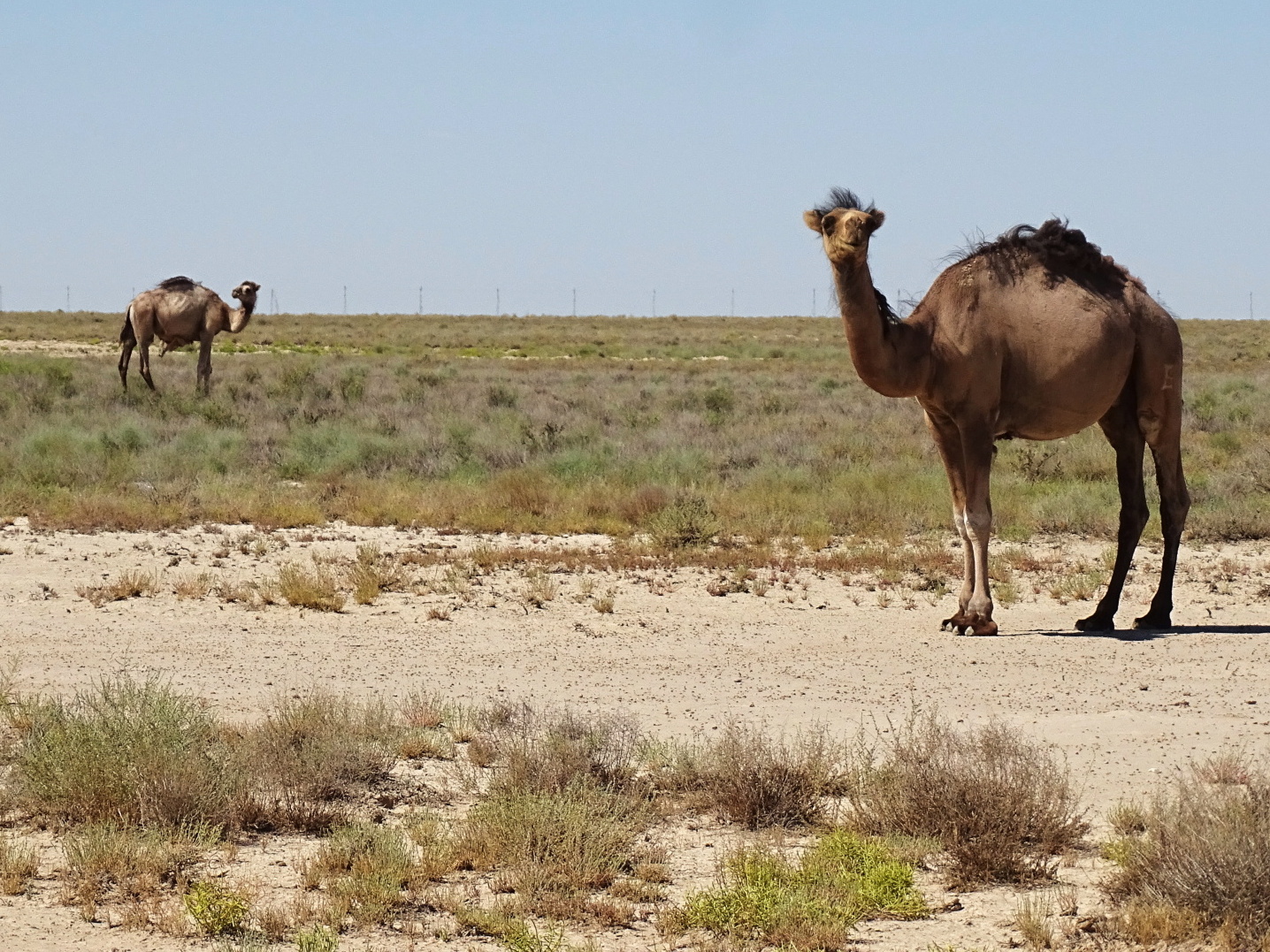 expedícia Stredná Ázia 2022