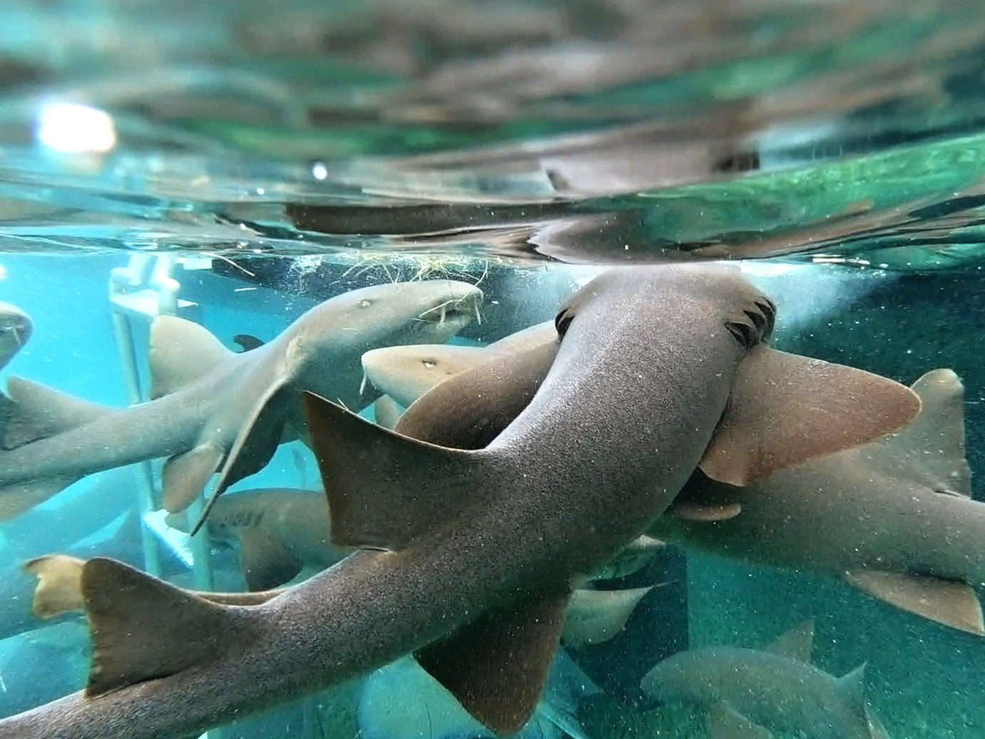 Mexiko a Belize 2023