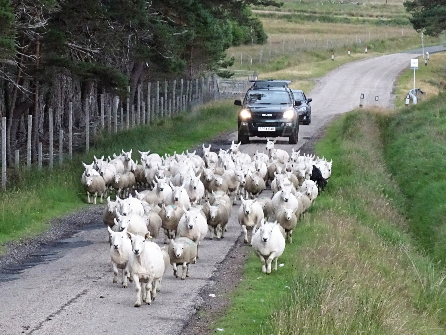 exkurzia Škótsko 2023