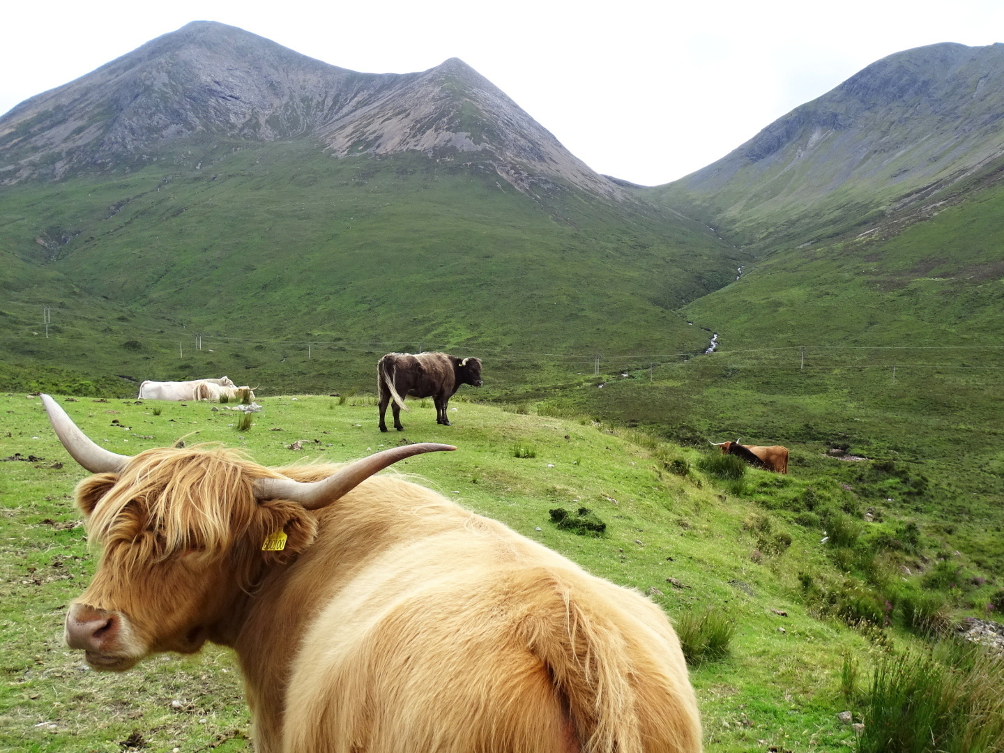 exkurzia Škótsko 2023